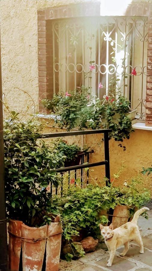 Casa Gaia Apartment Trivigno Exterior photo